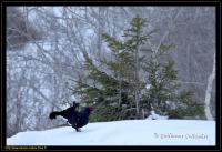 Panneau entrée ville